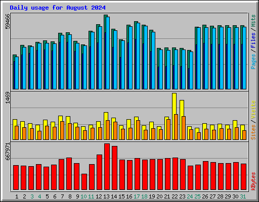 Daily usage for August 2024