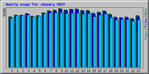 Hourly usage for January 2023