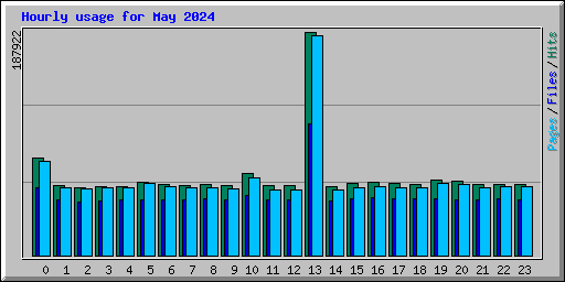 Hourly usage for May 2024