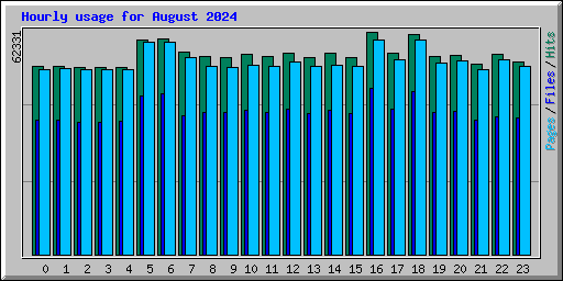 Hourly usage for August 2024