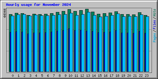 Hourly usage for November 2024