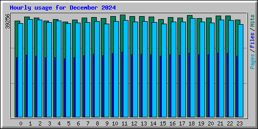 Hourly usage for December 2024