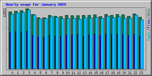 Hourly usage for January 2025