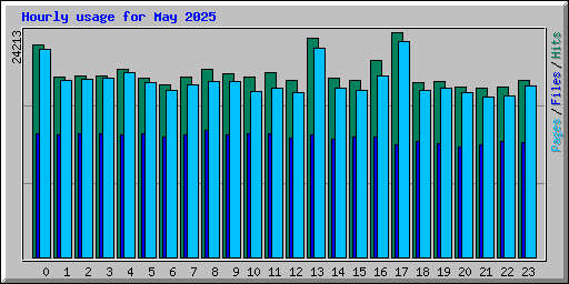 Hourly usage for May 2025