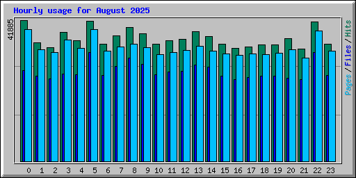 Hourly usage for August 2025