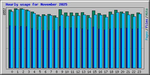 Hourly usage for November 2025
