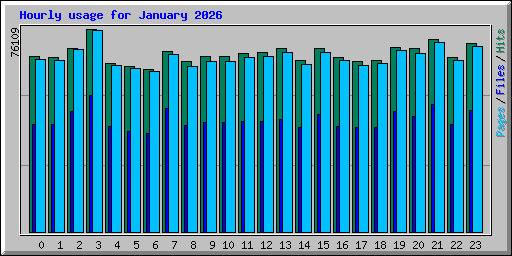 Hourly usage for January 2026