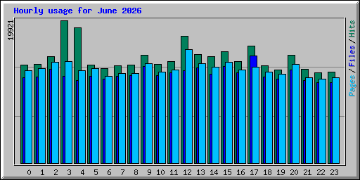 Hourly usage for June 2026