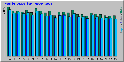 Hourly usage for August 2026